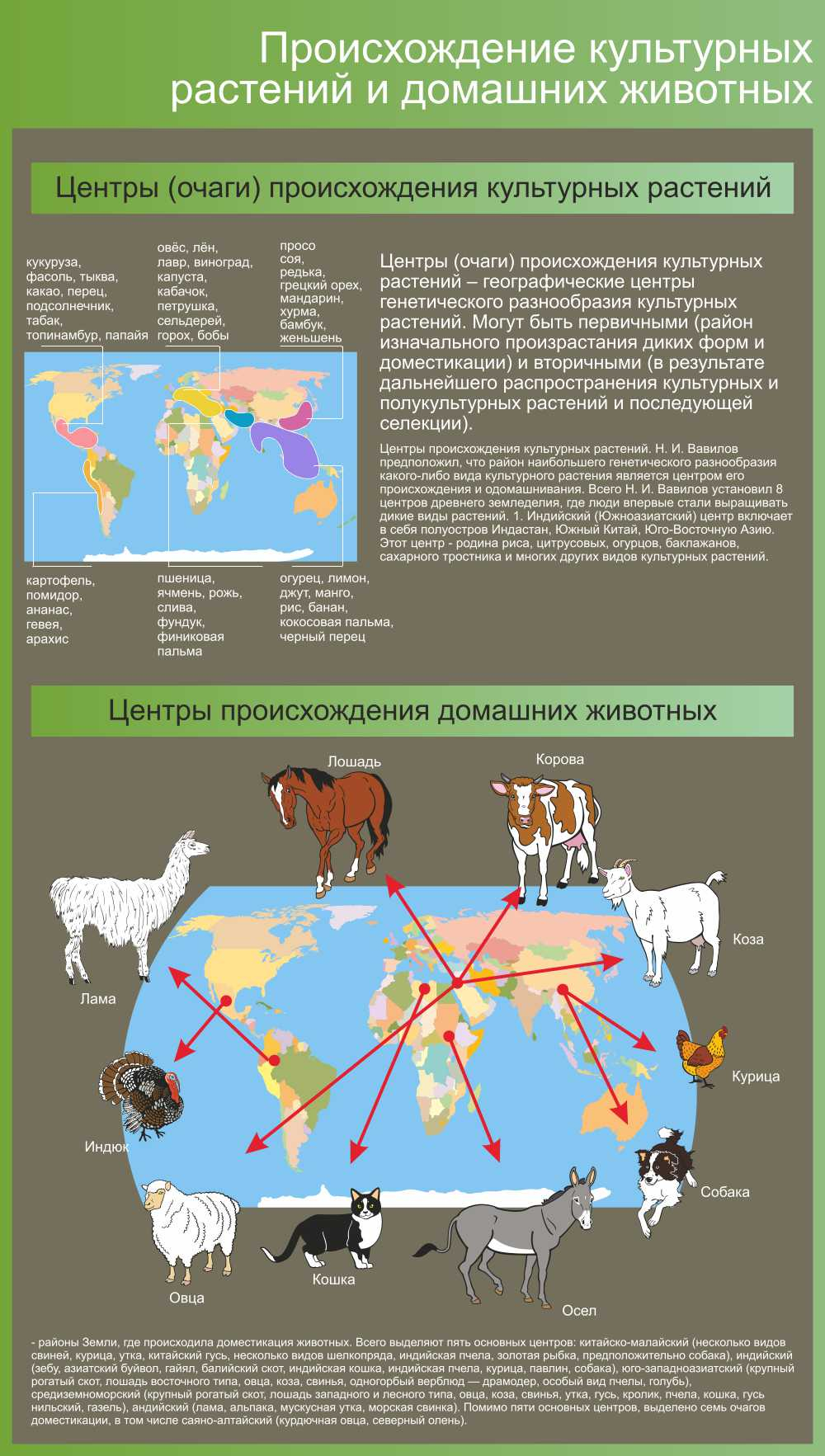 Происхождение культурных растений и домашних животных в Верхней Салде